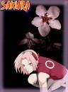 ***~~~""Sakura""~~~*** - laura_bravo_girl - Naruto